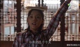 娱乐圈吃瓜被骗,揭秘明星背后的真相与陷阱